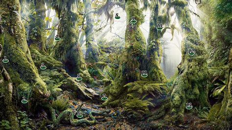 A Hidden Forest betsul
