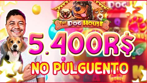 Sorte cachorro slots