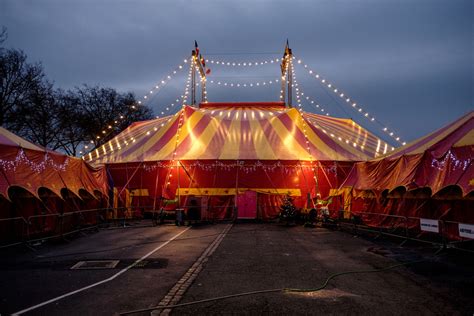 The Circus Night 1xbet